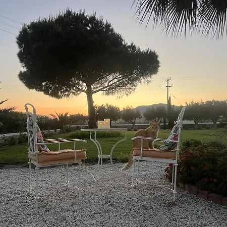 Loretta With Pool, Jacuzzi And Garden 别墅 波西多尼亚