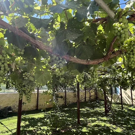 Loretta With Pool, Jacuzzi And Garden 波西多尼亚