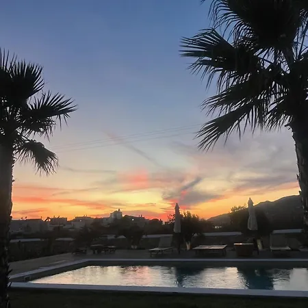 Loretta With Pool, Jacuzzi And Garden Posidhonia (Syros)