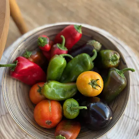 别墅 Loretta With Pool, Jacuzzi And Garden 波西多尼亚