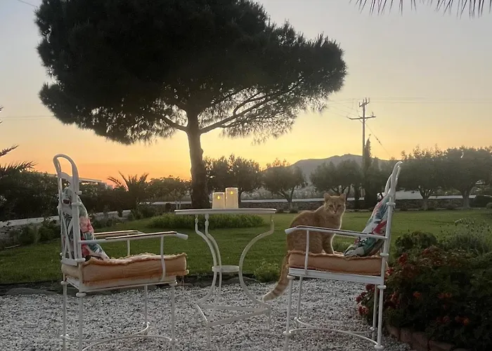 Loretta With Pool, Jacuzzi And Garden Villa Posidhonía