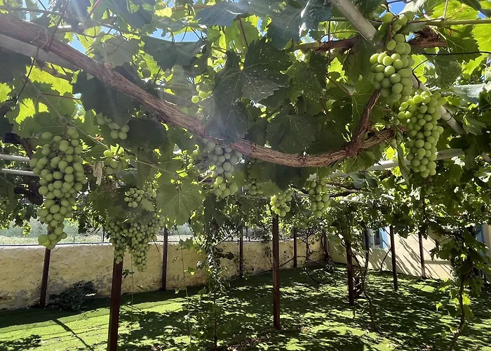Loretta With Pool, Jacuzzi And Garden Posidhonía