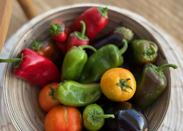 Villa Loretta With Pool, Jacuzzi And Garden Posidhonía